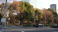 DSC00318.JPG